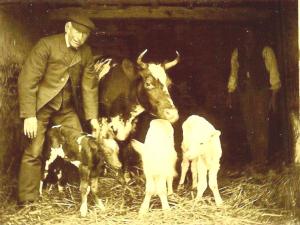 Sowood Farm Bennet Brook and triplets